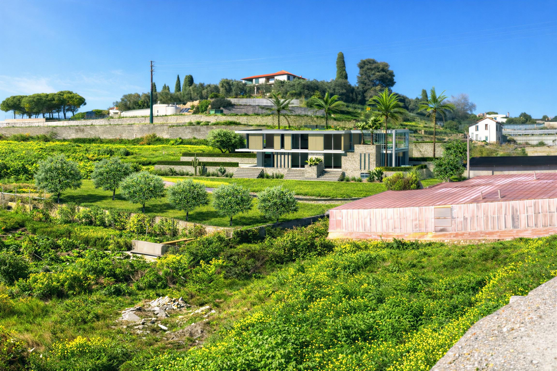 I progetti non realizzati 