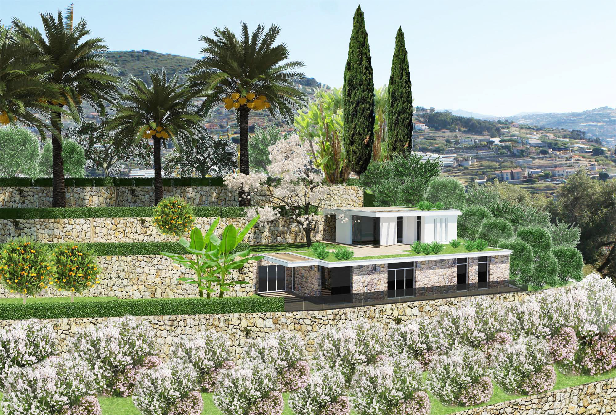 I progetti non realizzati 